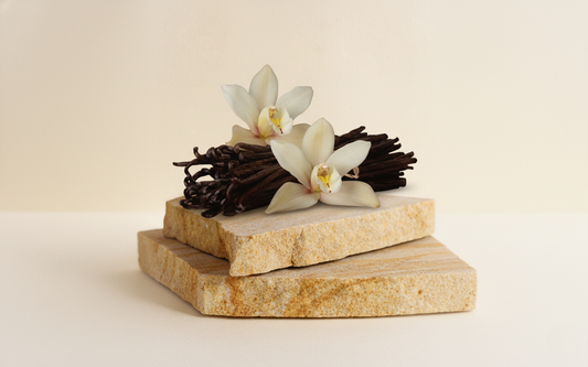 Vanille CO₂ in Skincare